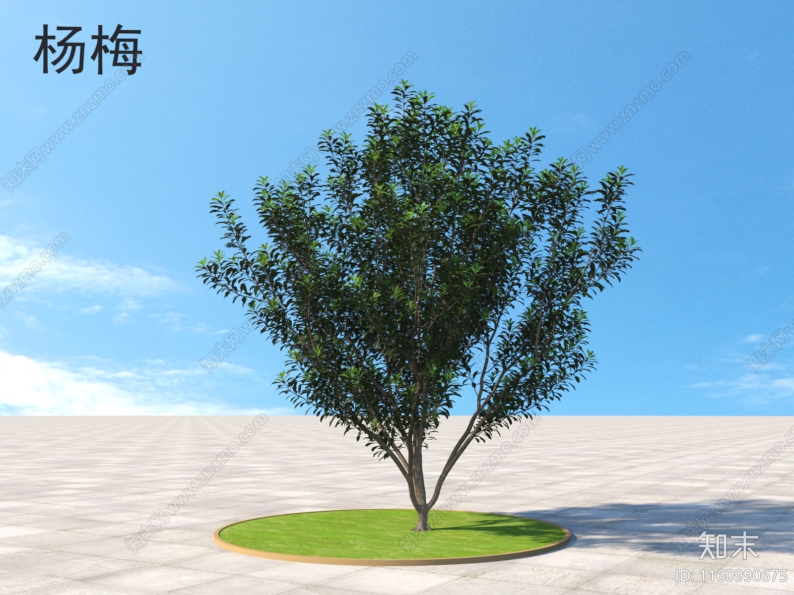 杨梅3D模型下载【ID:1160990675】