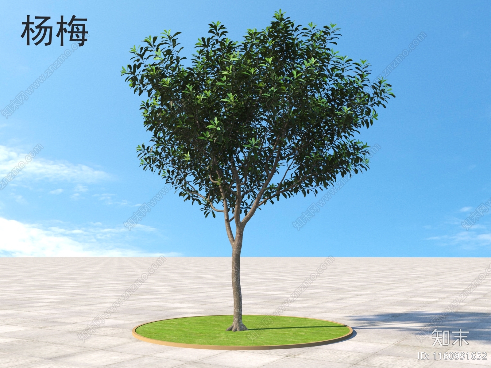 杨梅3D模型下载【ID:1160991652】