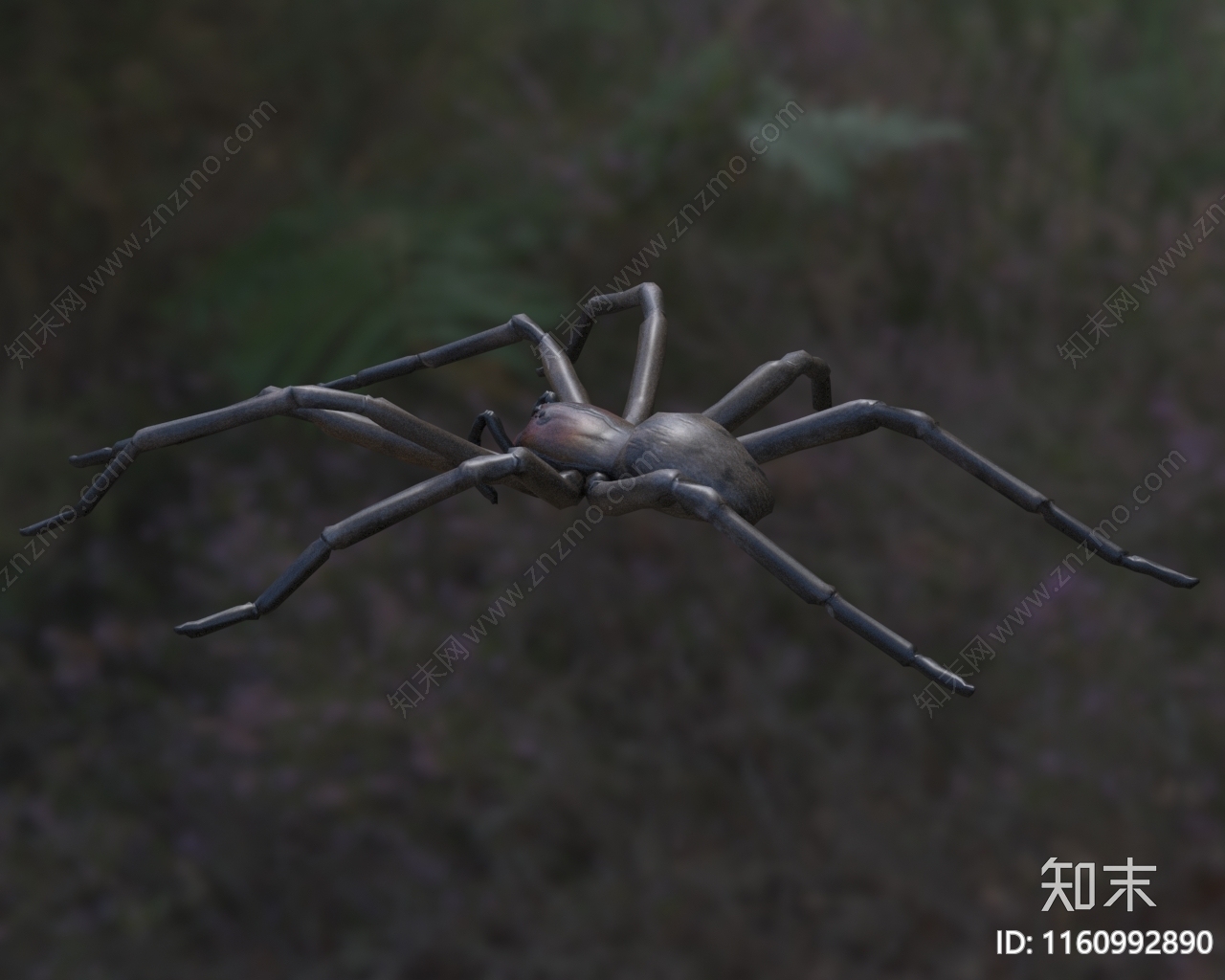 红牙流浪蜘蛛生物动物3D模型下载【ID:1160992890】