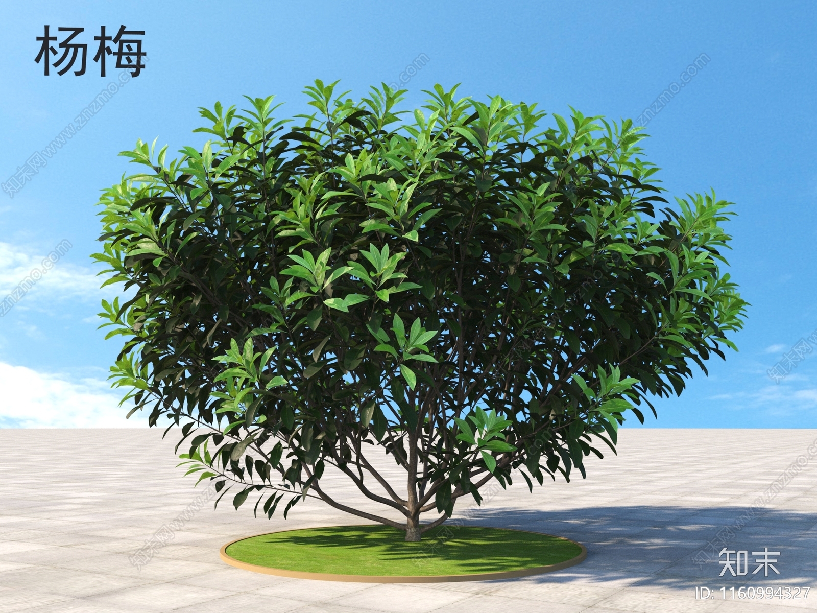 灌木3D模型下载【ID:1160994327】