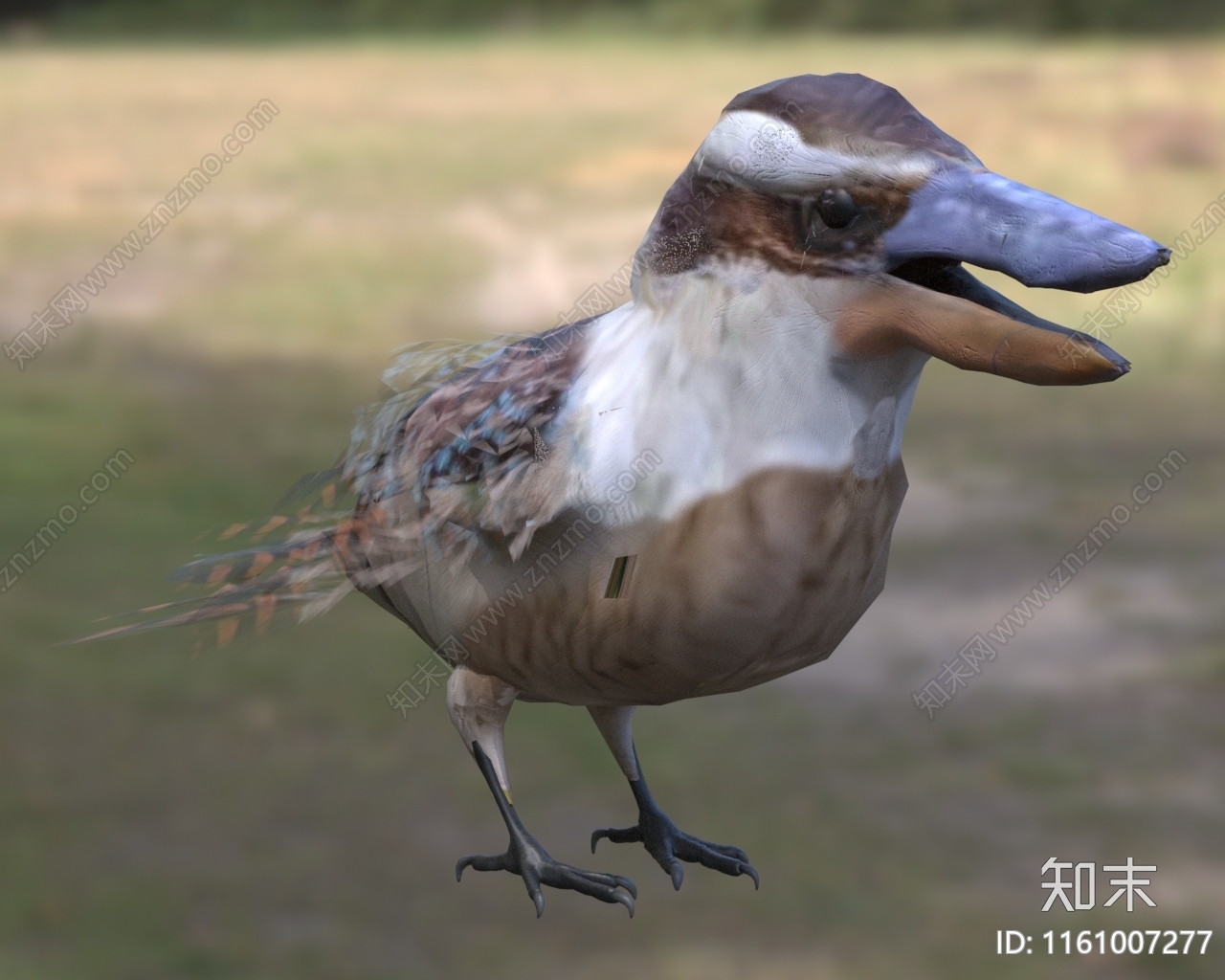 笑翠鸟白化蓝翠鸟3D模型下载【ID:1161007277】