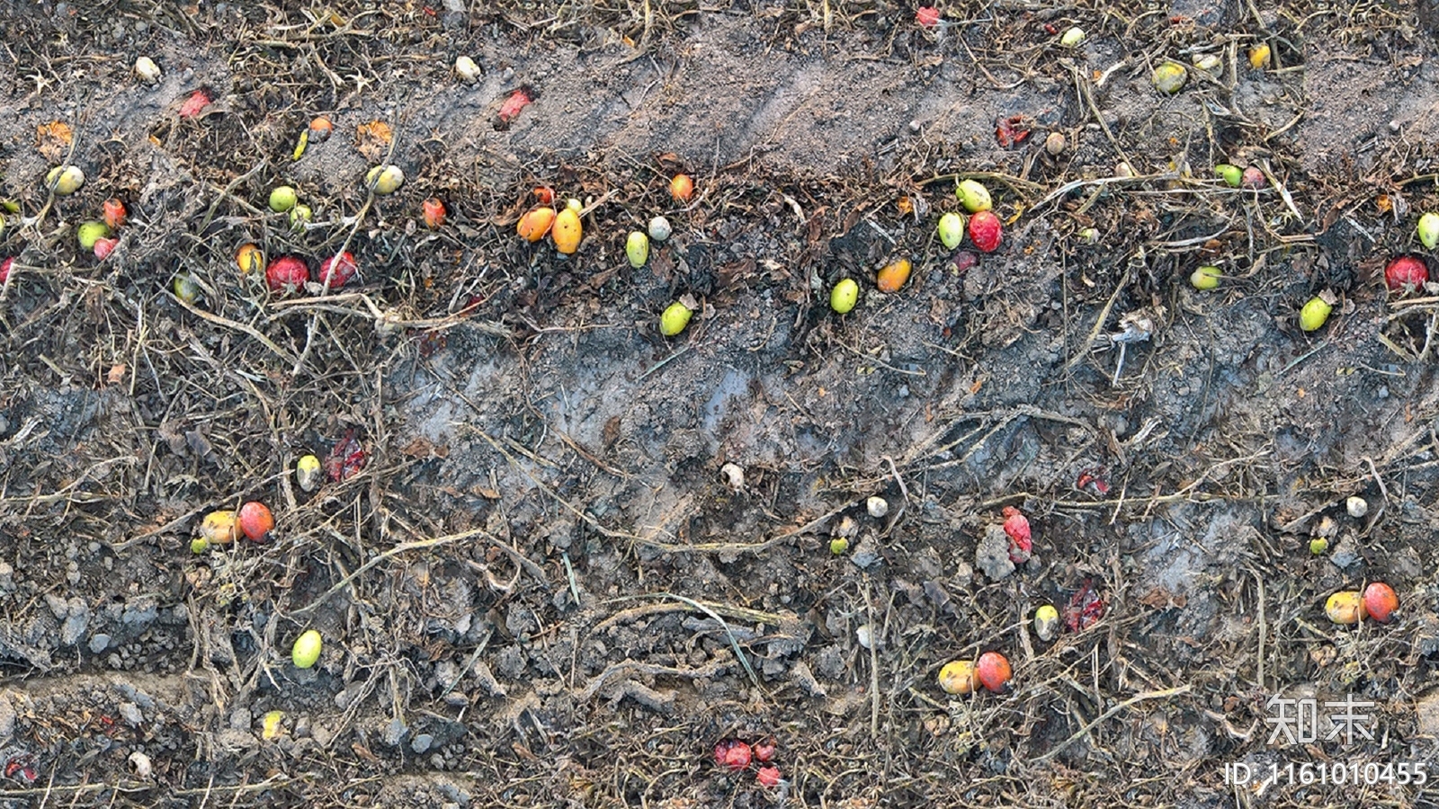 无缝土壤沙土泥土道路地面贴图下载【ID:1161010455】