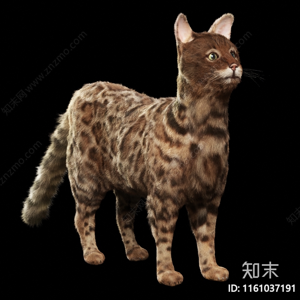 猫3D模型下载【ID:1161037191】