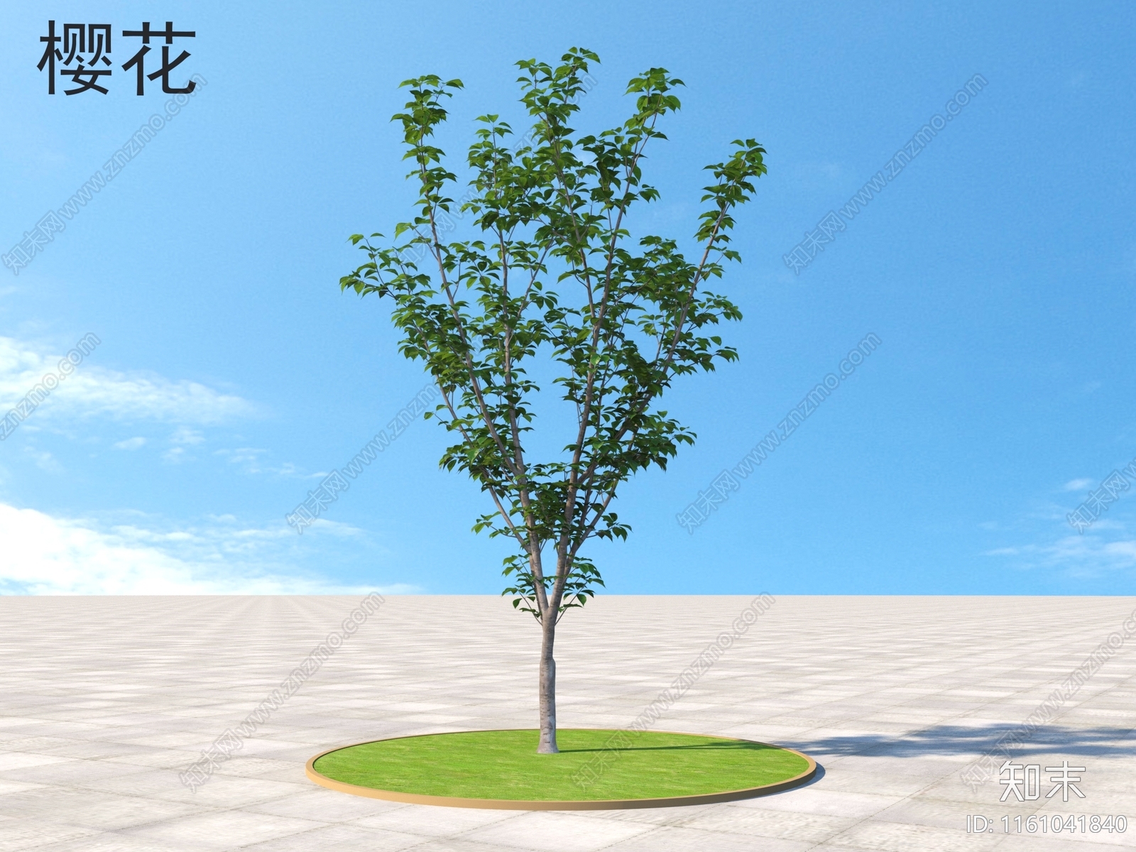 樱花3D模型下载【ID:1161041840】