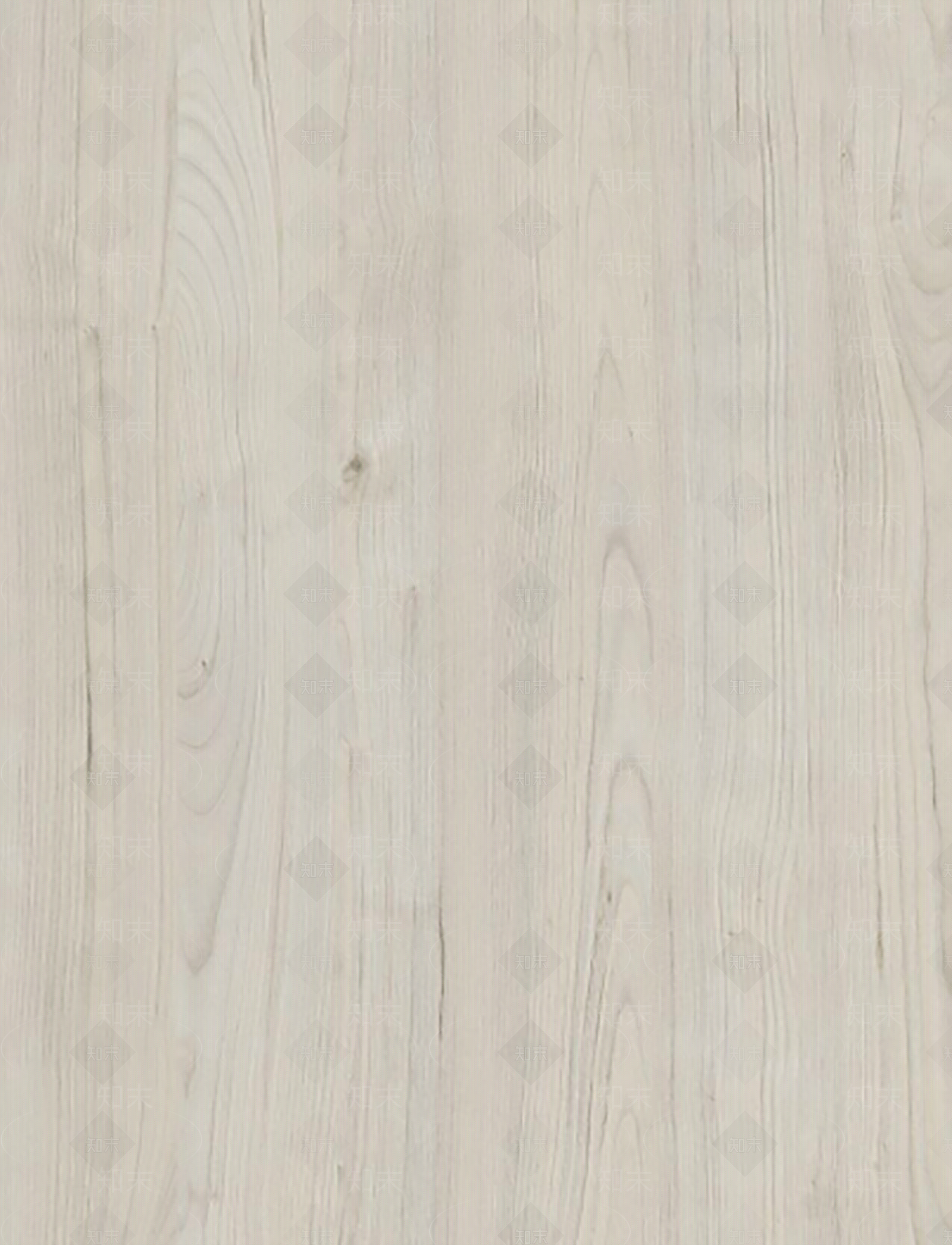 原木系浅色木饰面12贴图下载【ID:1161057909】