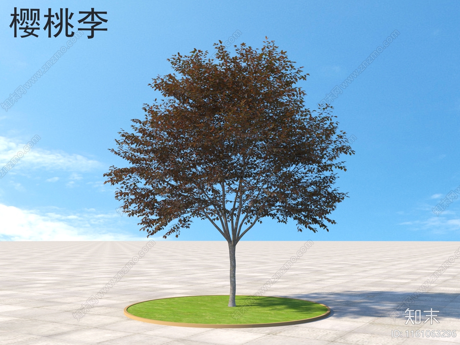 樱桃李3D模型下载【ID:1161063296】