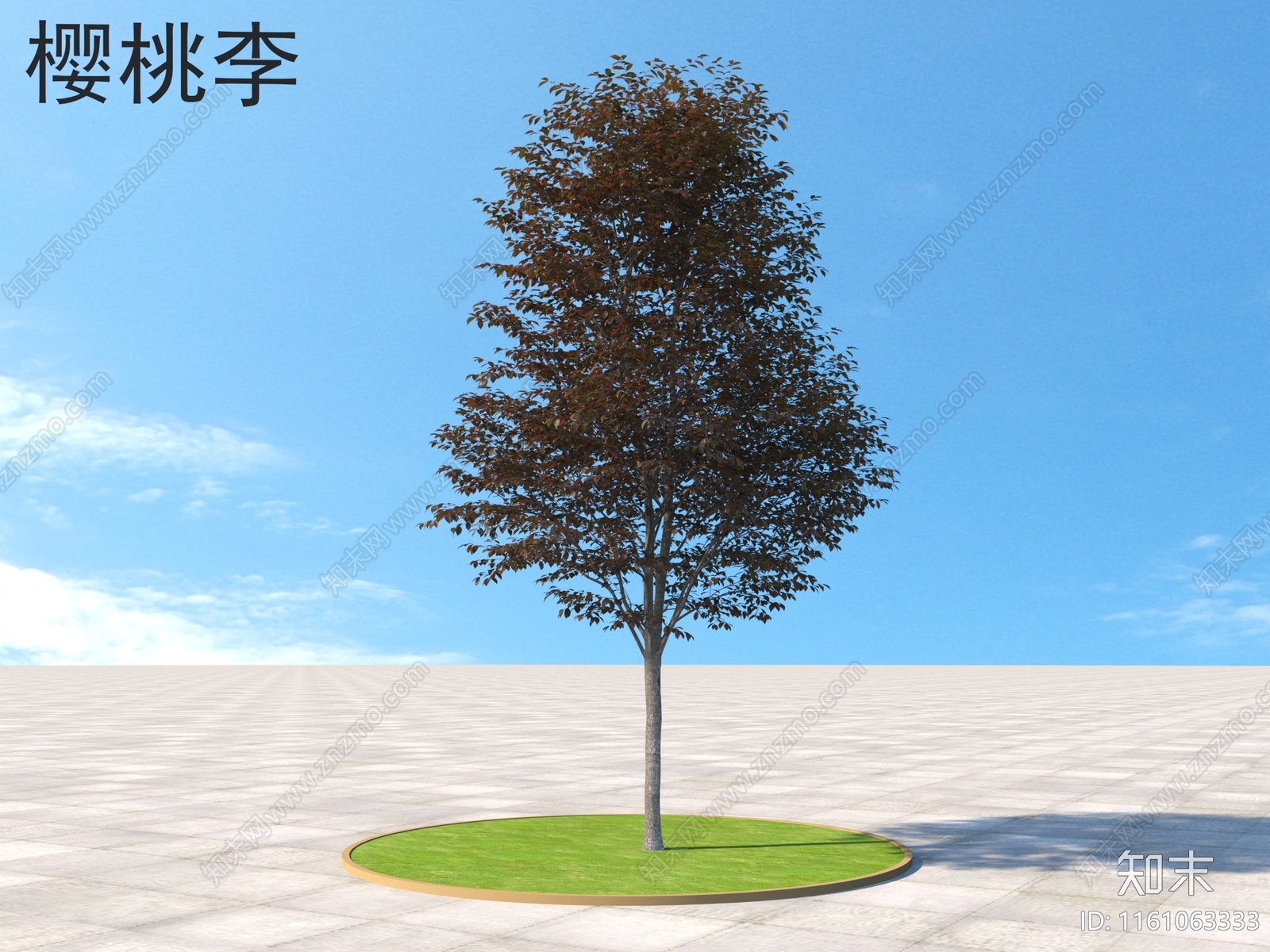 乔木3D模型下载【ID:1161063333】