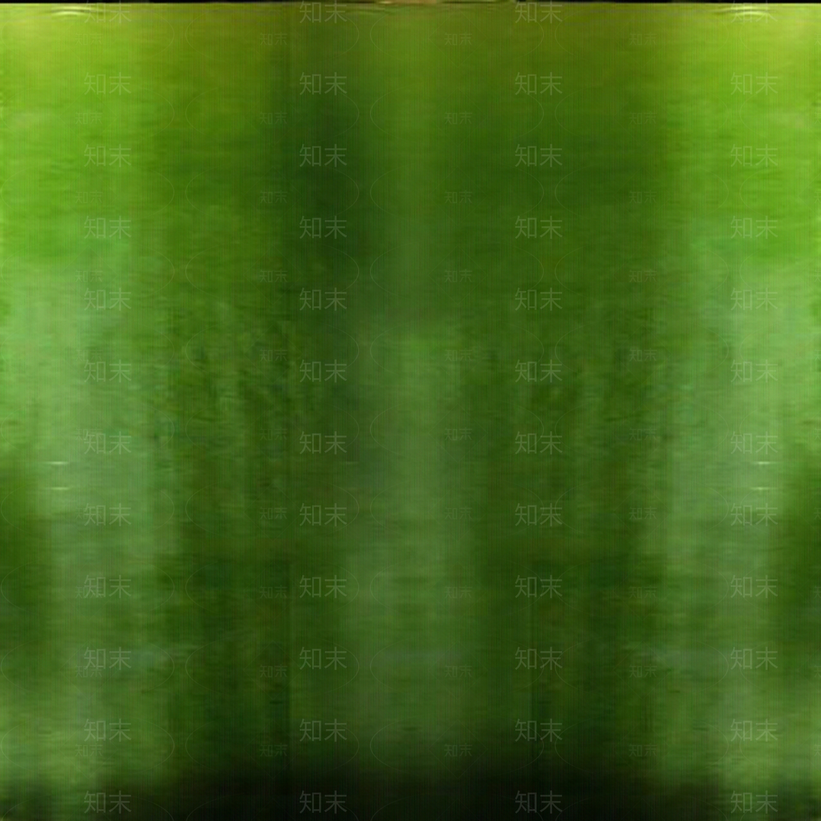 绿植叶贴纸贴图下载【ID:1161089804】