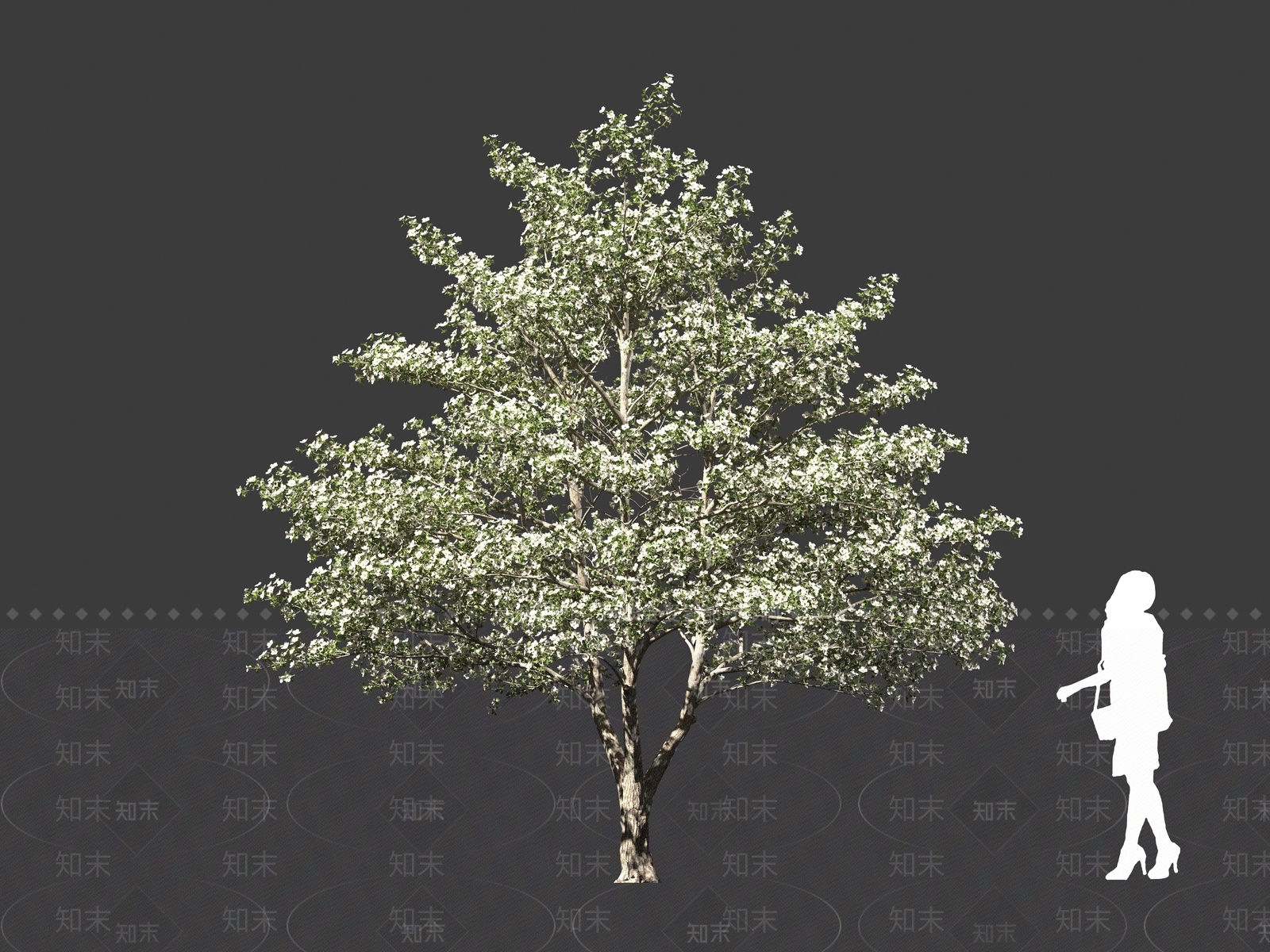 现代乔木3D模型下载【ID:1161093542】