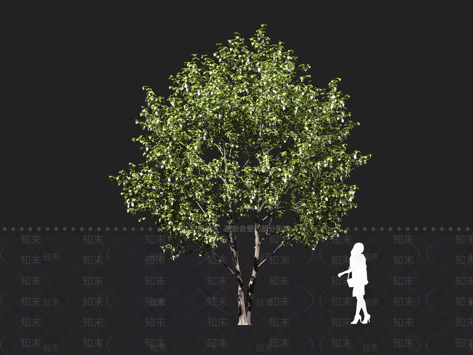 现代乔木3D模型下载【ID:1161094388】