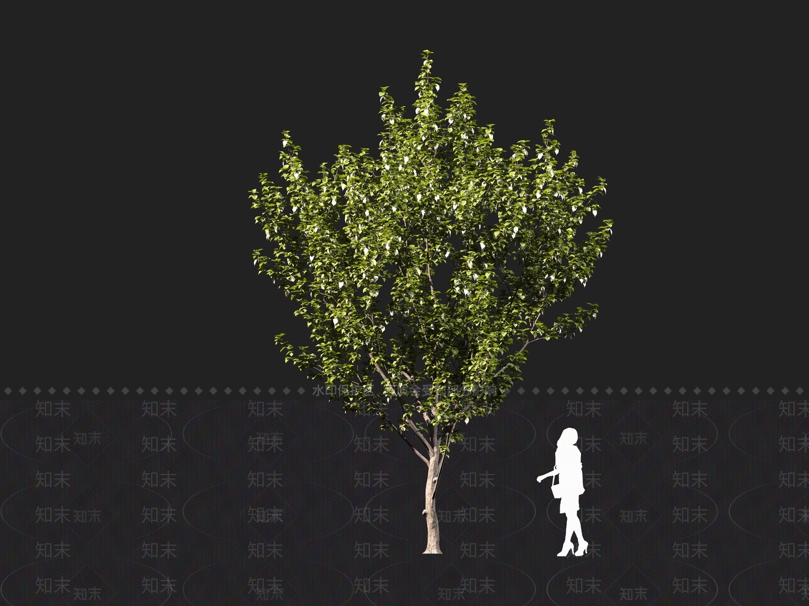 现代乔木3D模型下载【ID:1161094461】