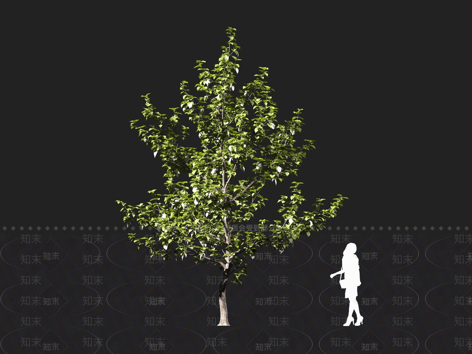 现代乔木3D模型下载【ID:1161094433】