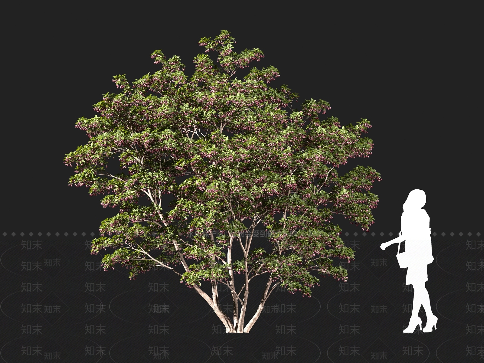 现代乔木3D模型下载【ID:1161102186】