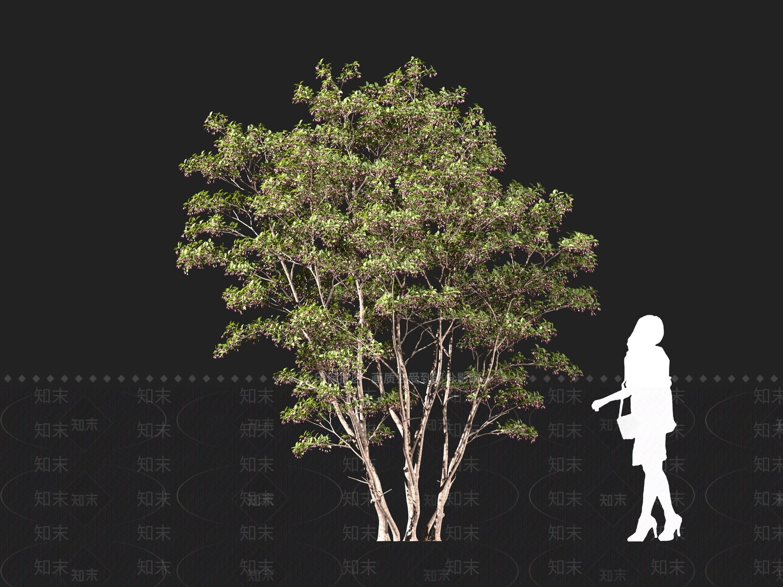 现代乔木3D模型下载【ID:1161102183】
