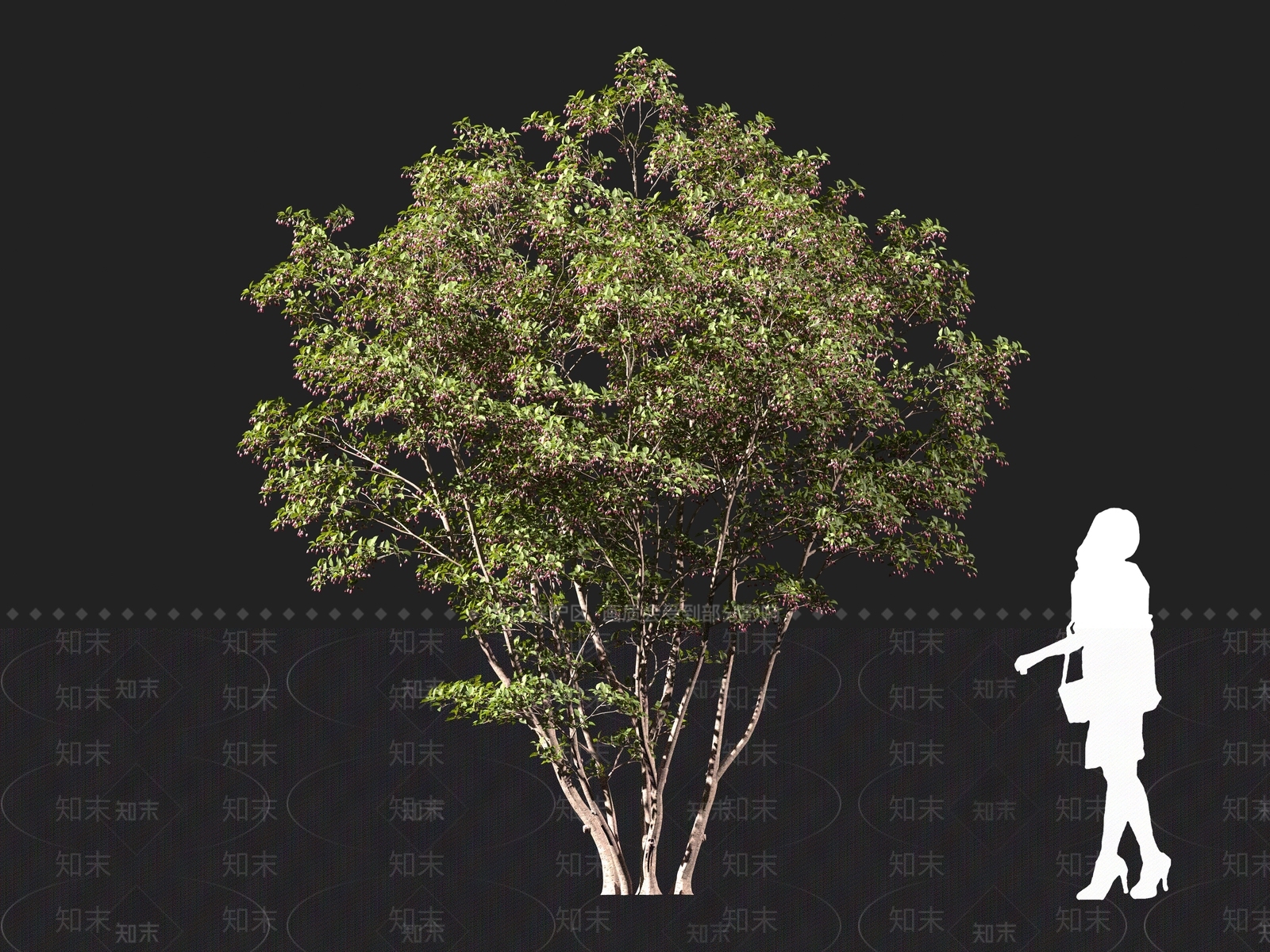 现代乔木3D模型下载【ID:1161102148】