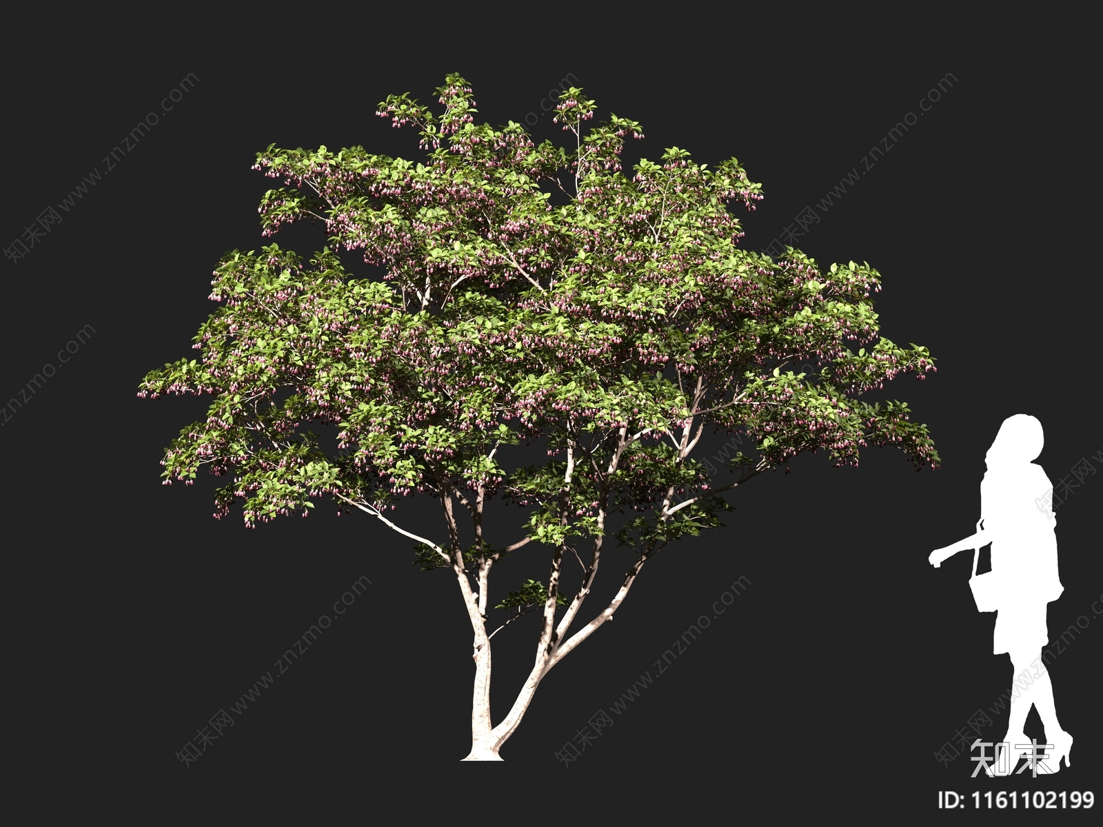 现代乔木3D模型下载【ID:1161102199】