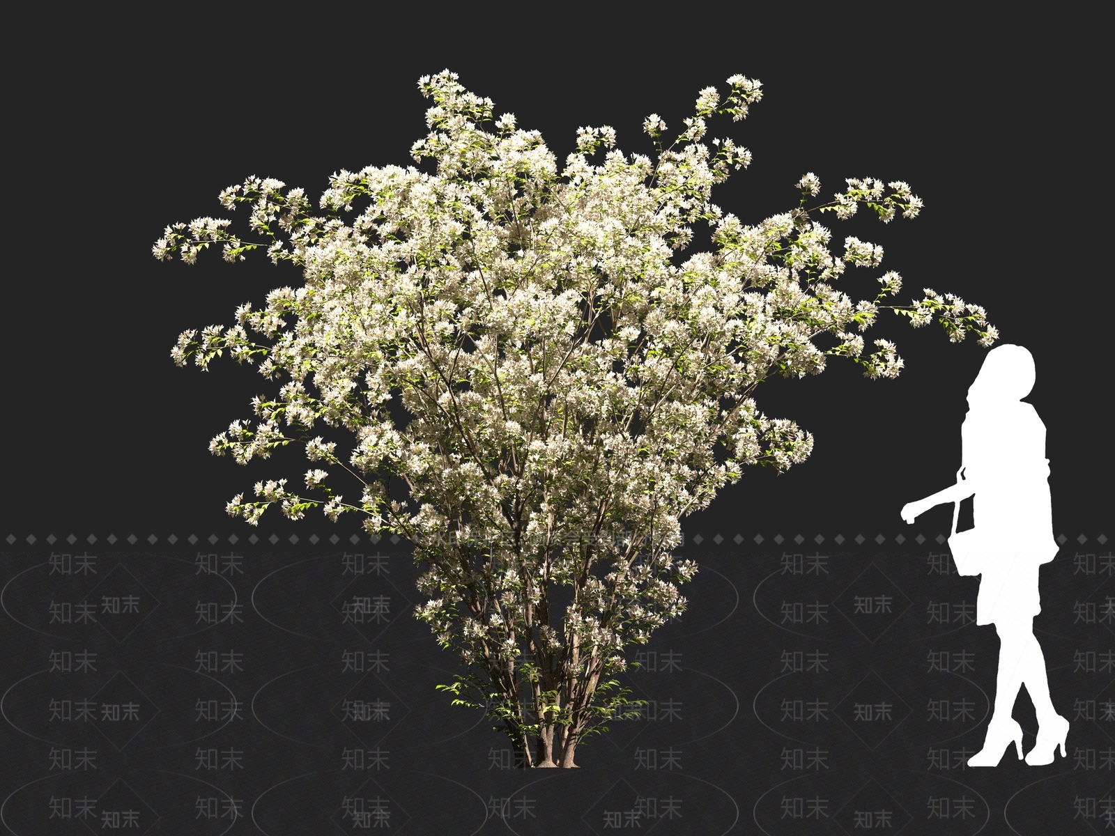 现代美人木3D模型下载【ID:1161104185】