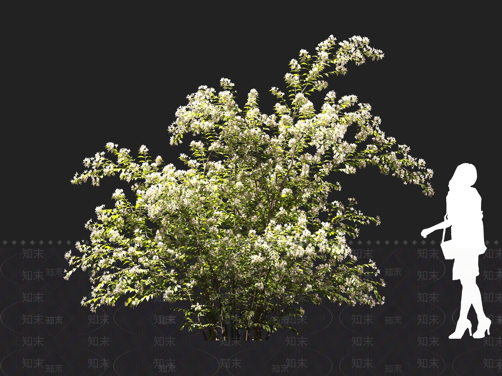 现代灌木3D模型下载【ID:1161104230】