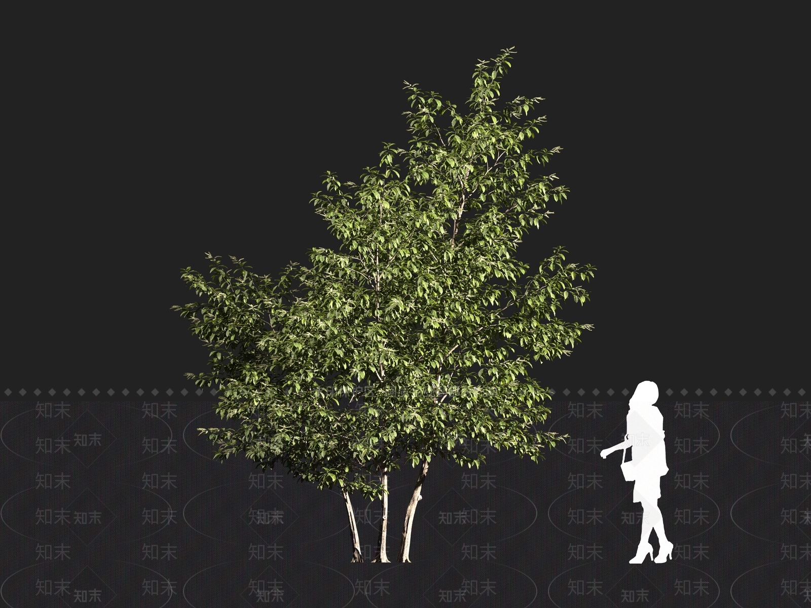 现代乔木3D模型下载【ID:1161106491】