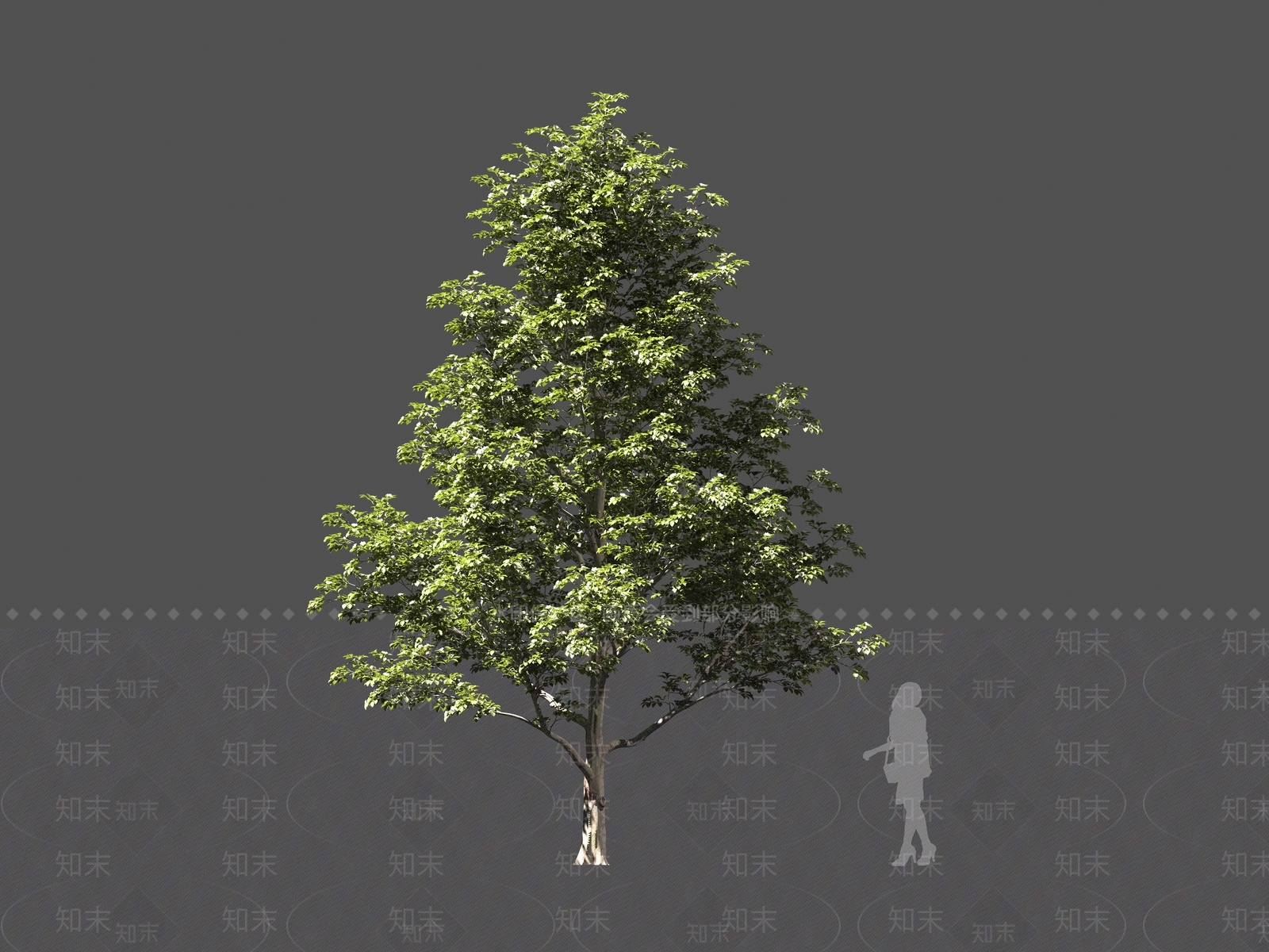 现代灌木3D模型下载【ID:1161111511】