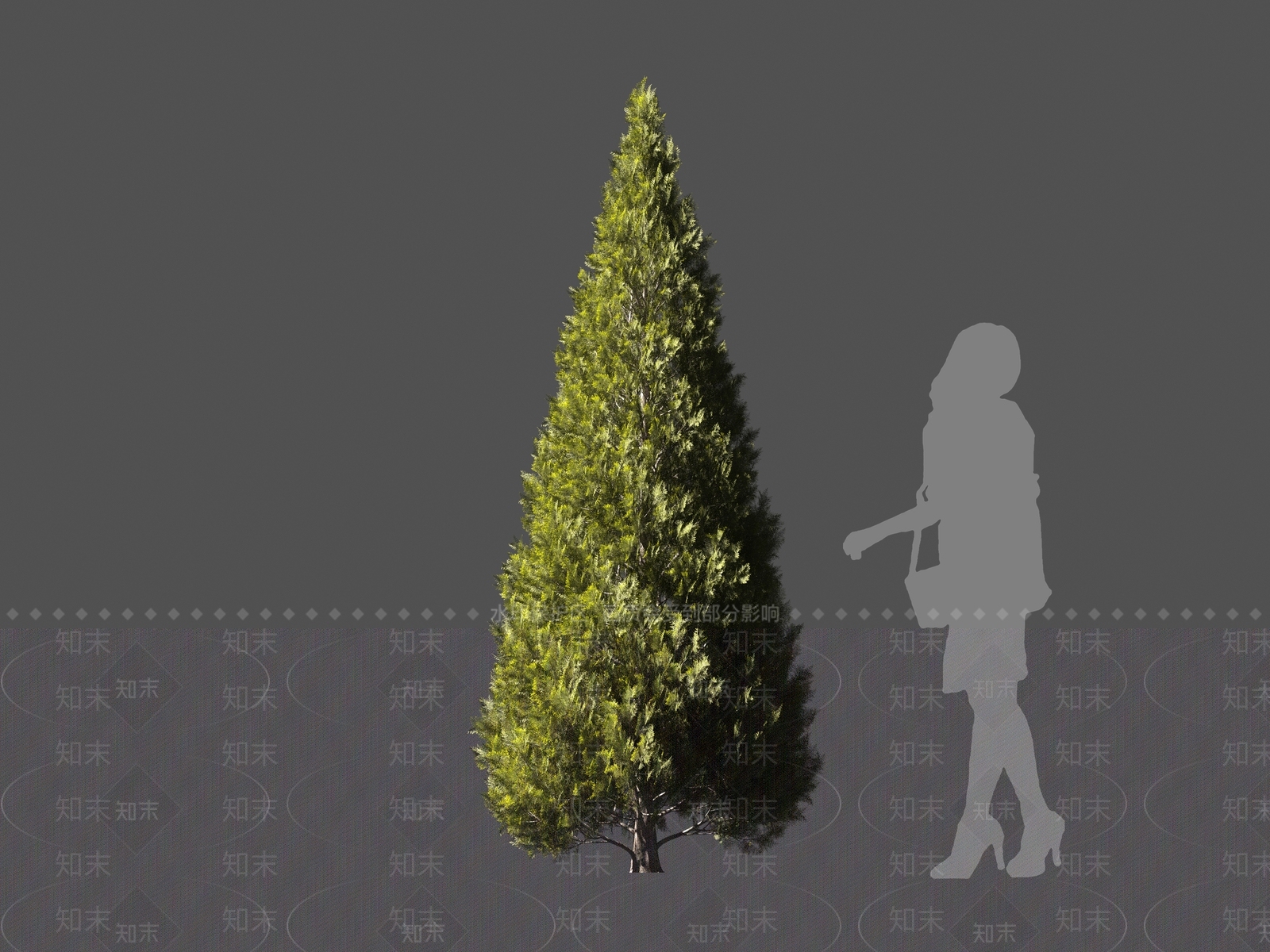 现代灌木3D模型下载【ID:1161111948】