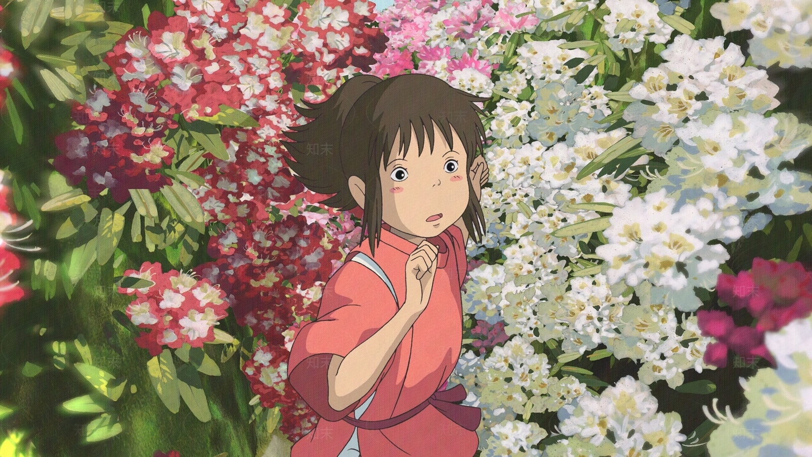花鸟壁纸高清贴图材质