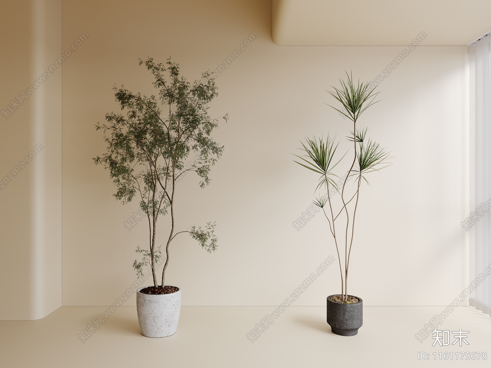 绿植盆栽3D模型下载【ID:1161175678】