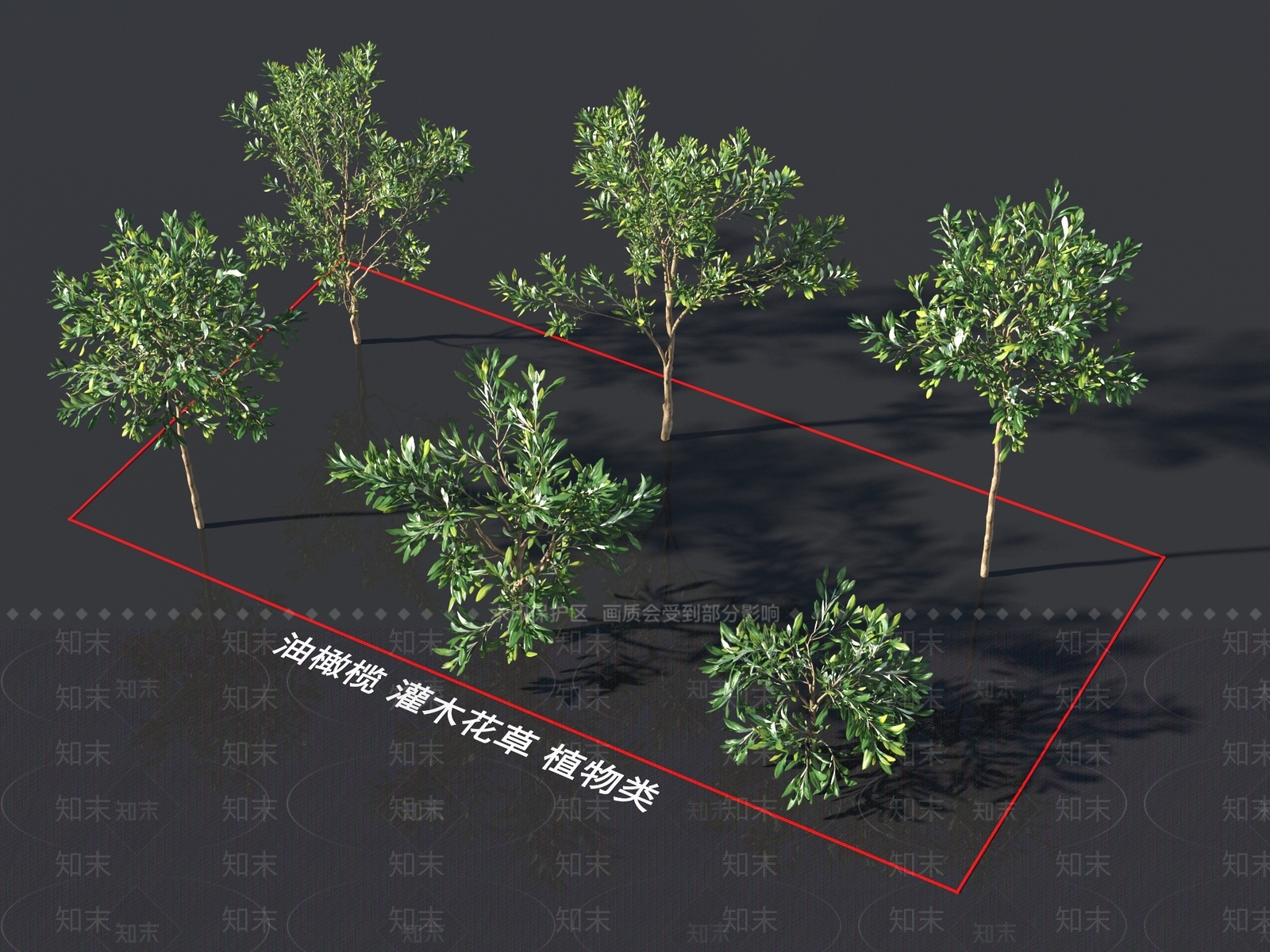 油橄榄3D模型下载【ID:1161192528】