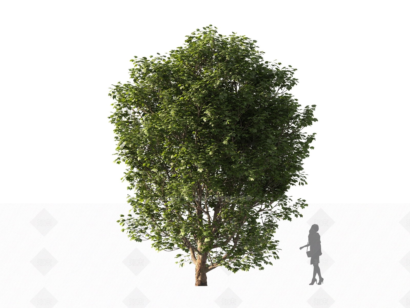 现代乔木3D模型下载【ID:1161201971】