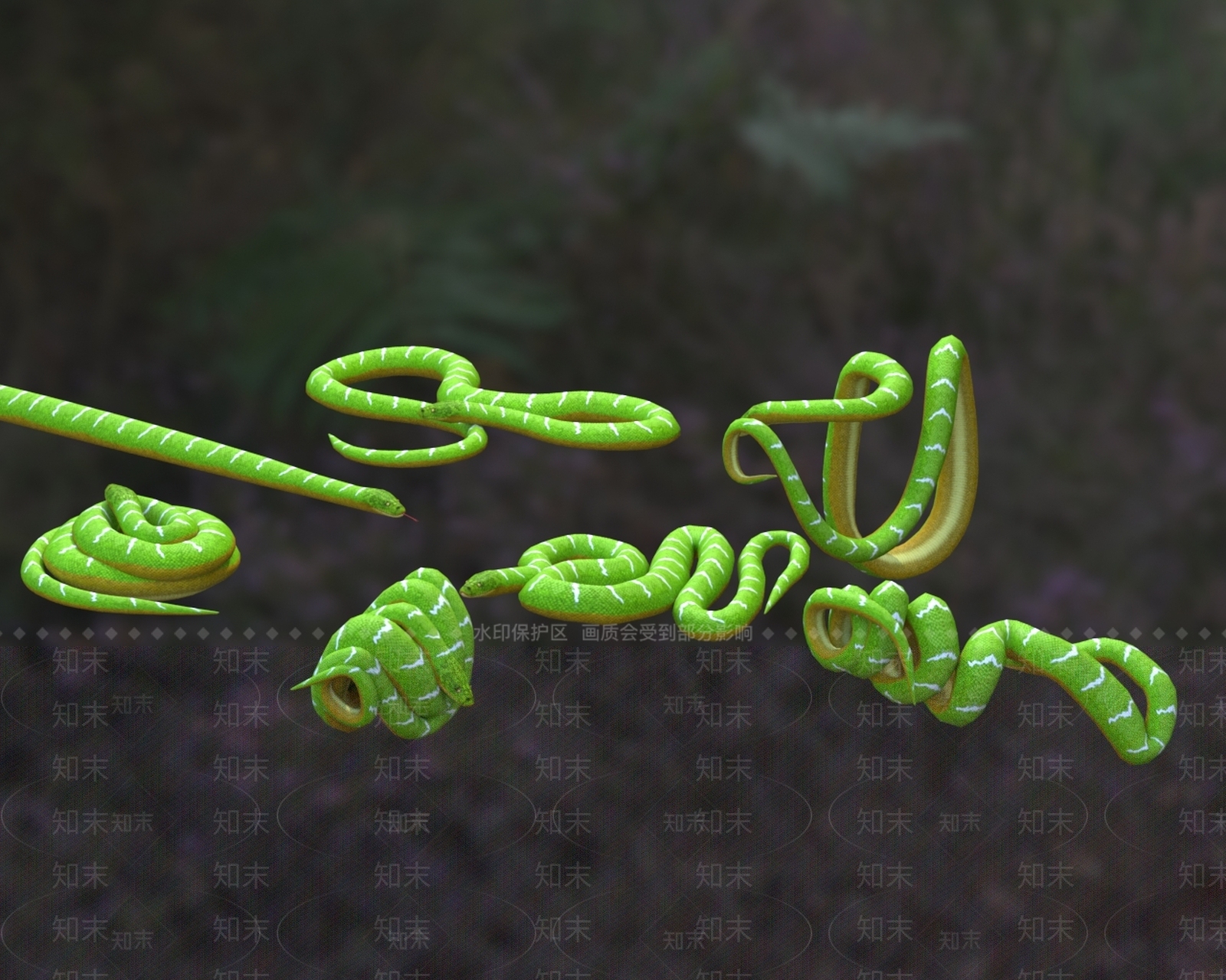 翠绿树蚺翡翠蟒翡翠蚺葱绿树蚺蛇3D模型下载【ID:1161205430】