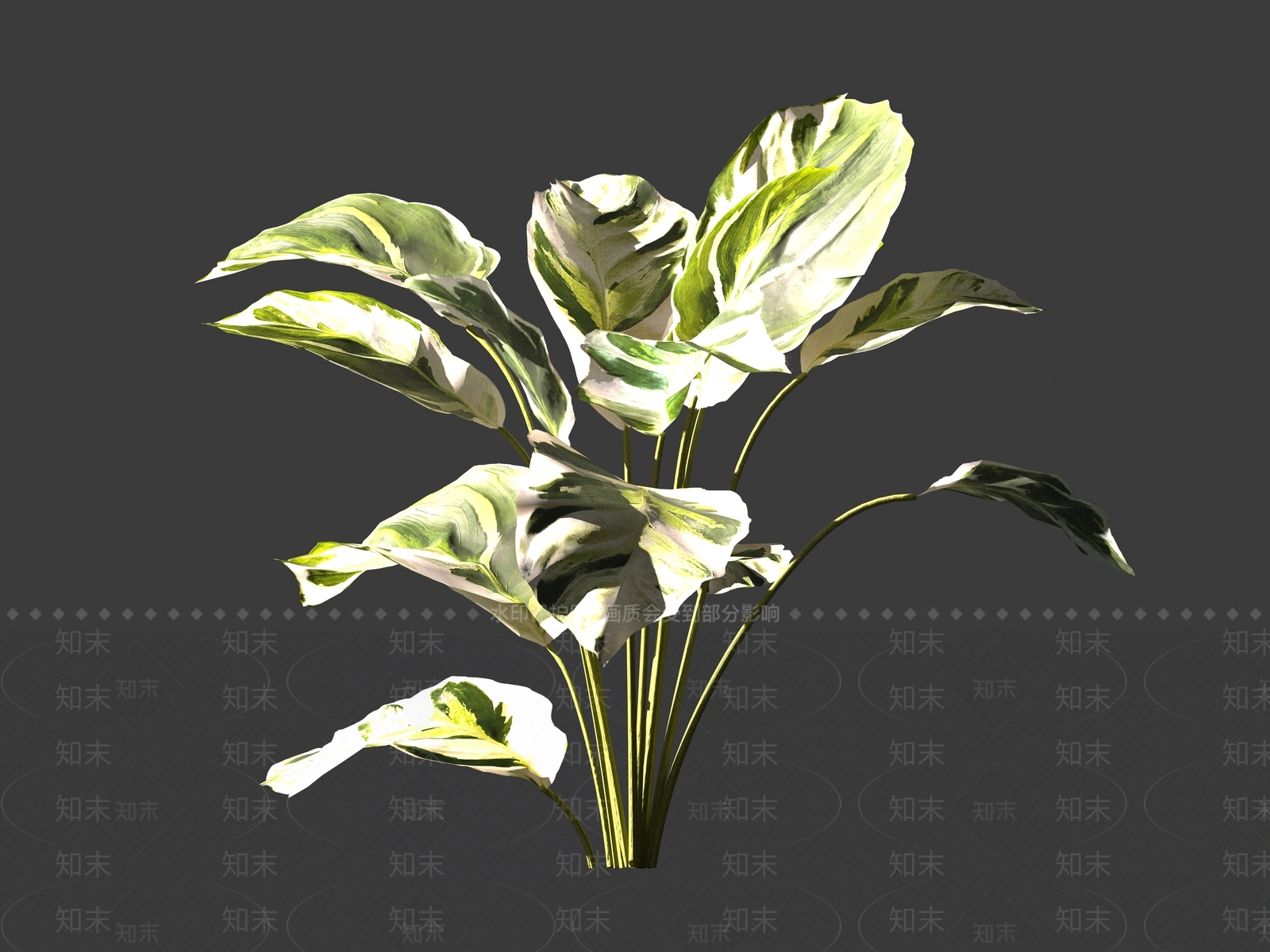 现代绿植油画竹芋3D模型下载【ID:1161207204】
