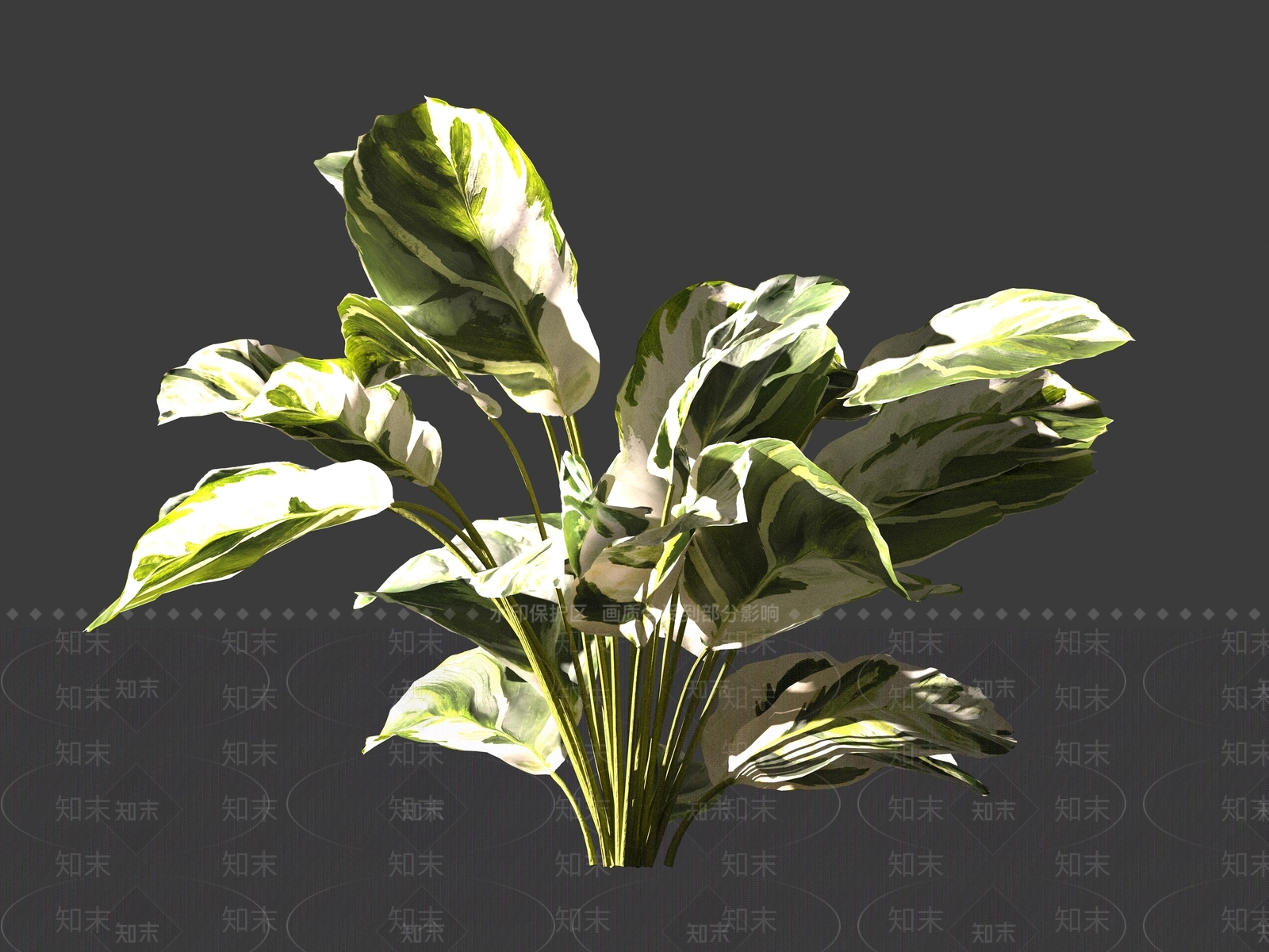 其他绿植3D模型下载【ID:1161207148】