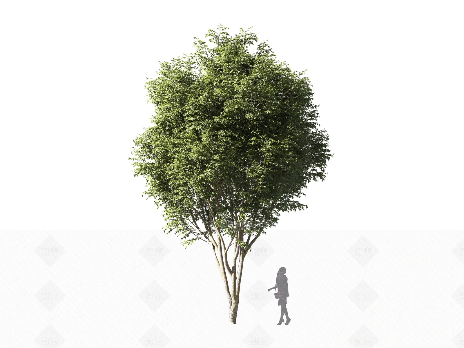 现代乔木3D模型下载【ID:1161207861】