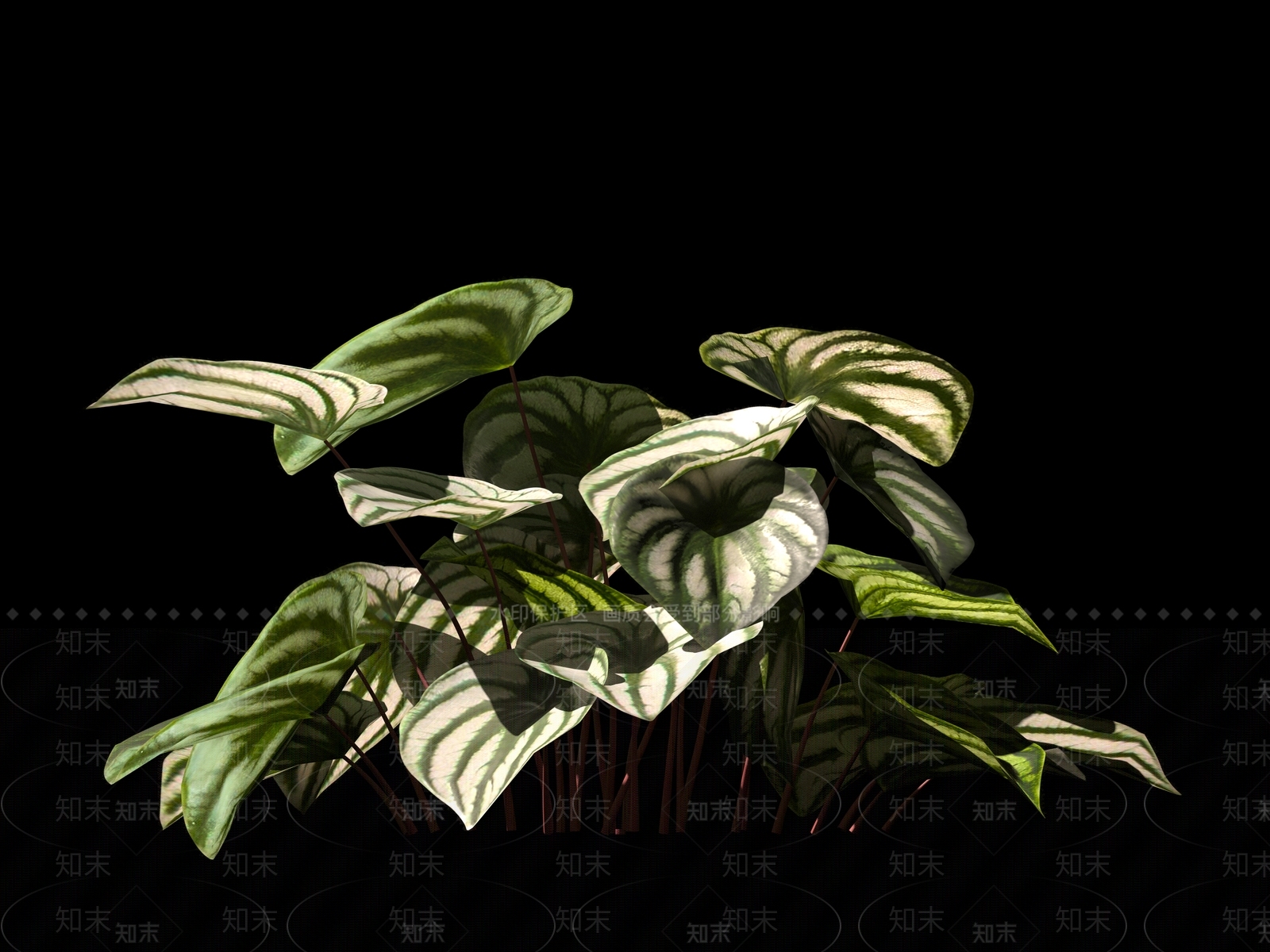 现代绿植3D模型下载【ID:1161211283】
