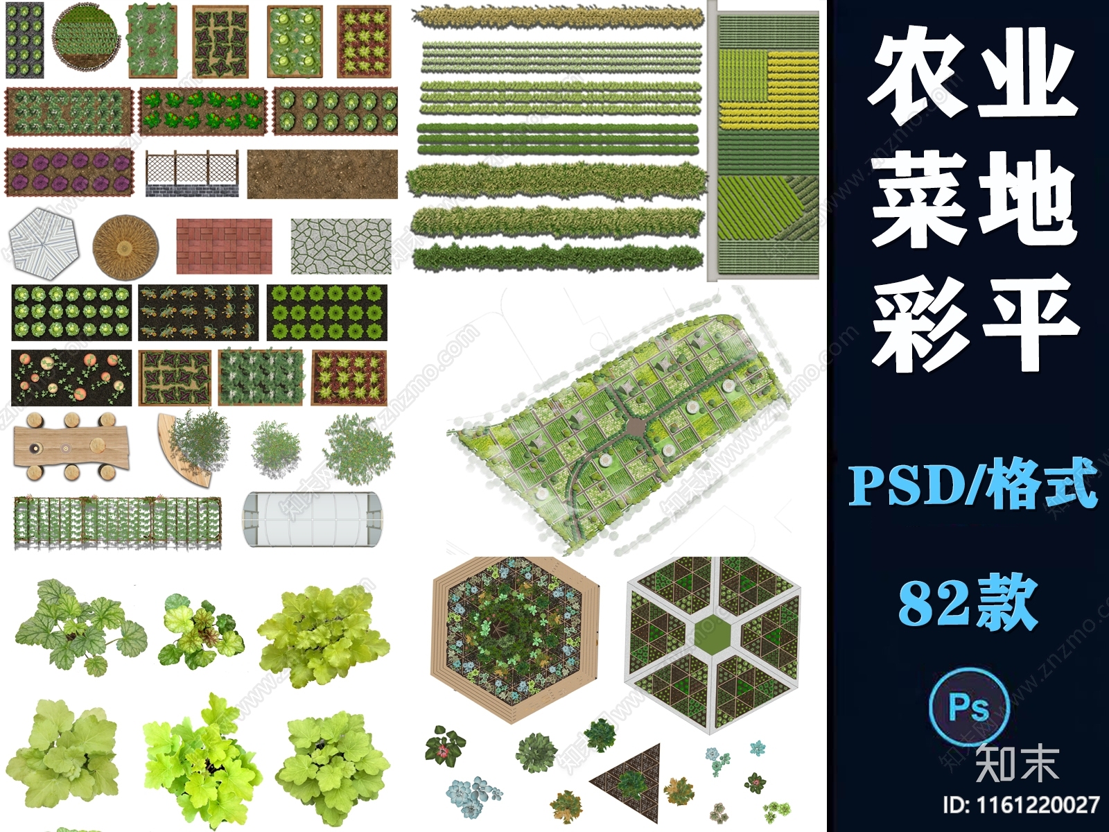 美丽乡村田园农业农场菜园规划彩平图菜地蔬菜psd分层源文件免抠下载【ID:1161220027】