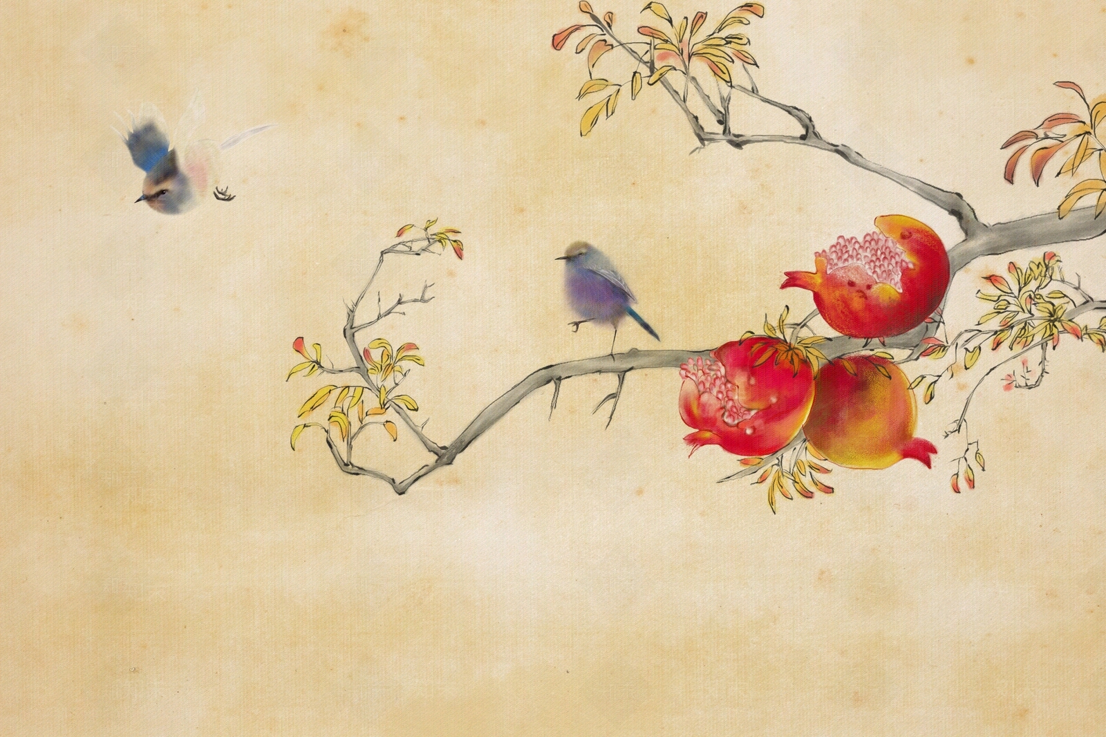 新中式石榴树小鸟花鸟壁纸壁画贴图下载【ID:1161254490】