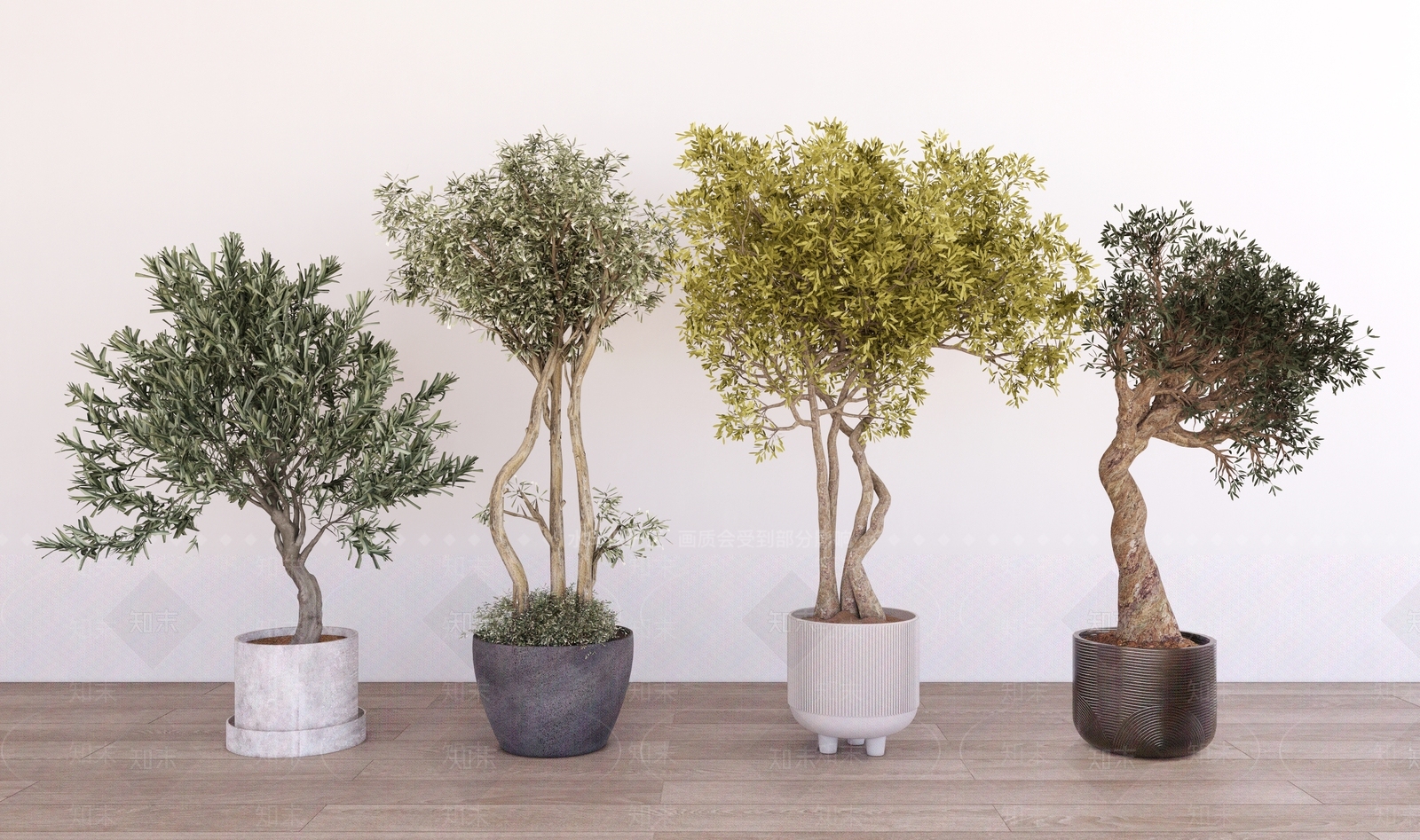 植物盆栽盆景组合SU模型下载【ID:1161259480】