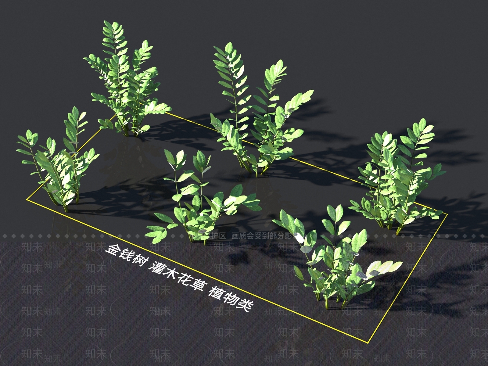 金钱树3D模型下载【ID:1161292232】