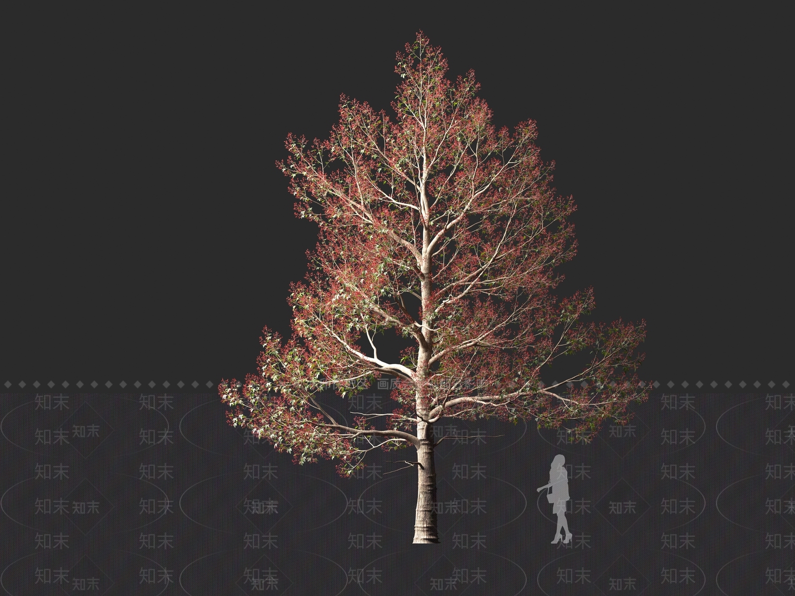 现代乔木3D模型下载【ID:1161305945】
