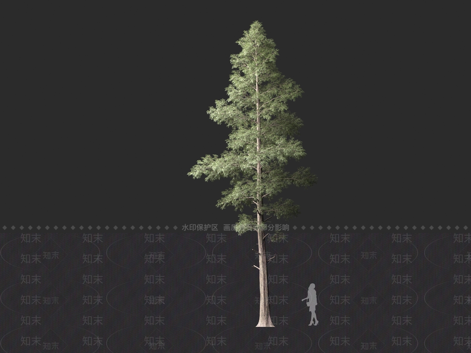 现代乔木3D模型下载【ID:1161306633】