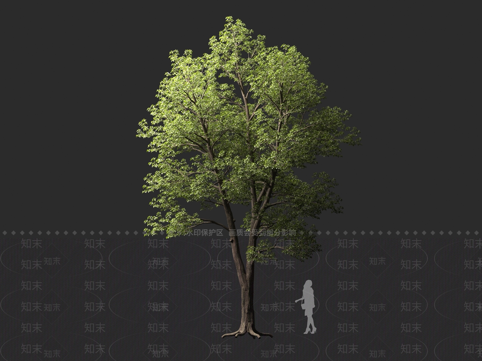 乔木3D模型下载【ID:1161321848】