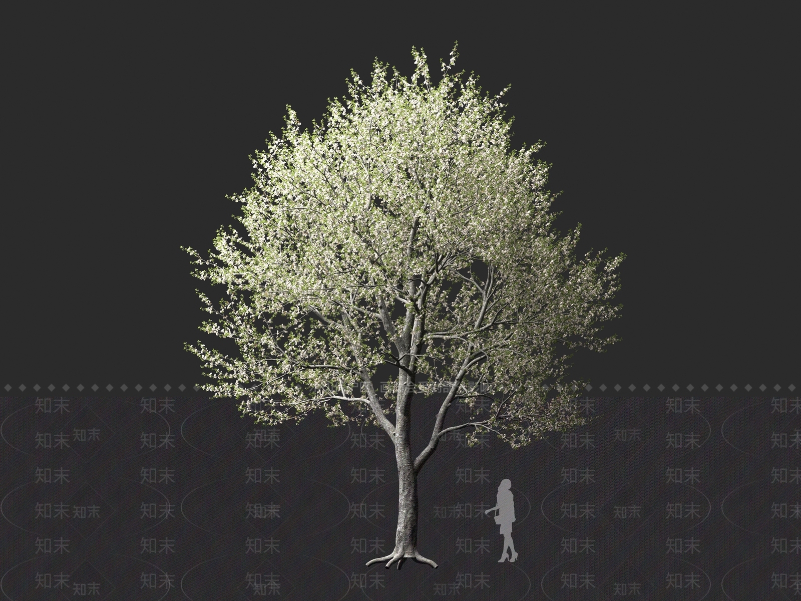 现代乔木3D模型下载【ID:1161325201】