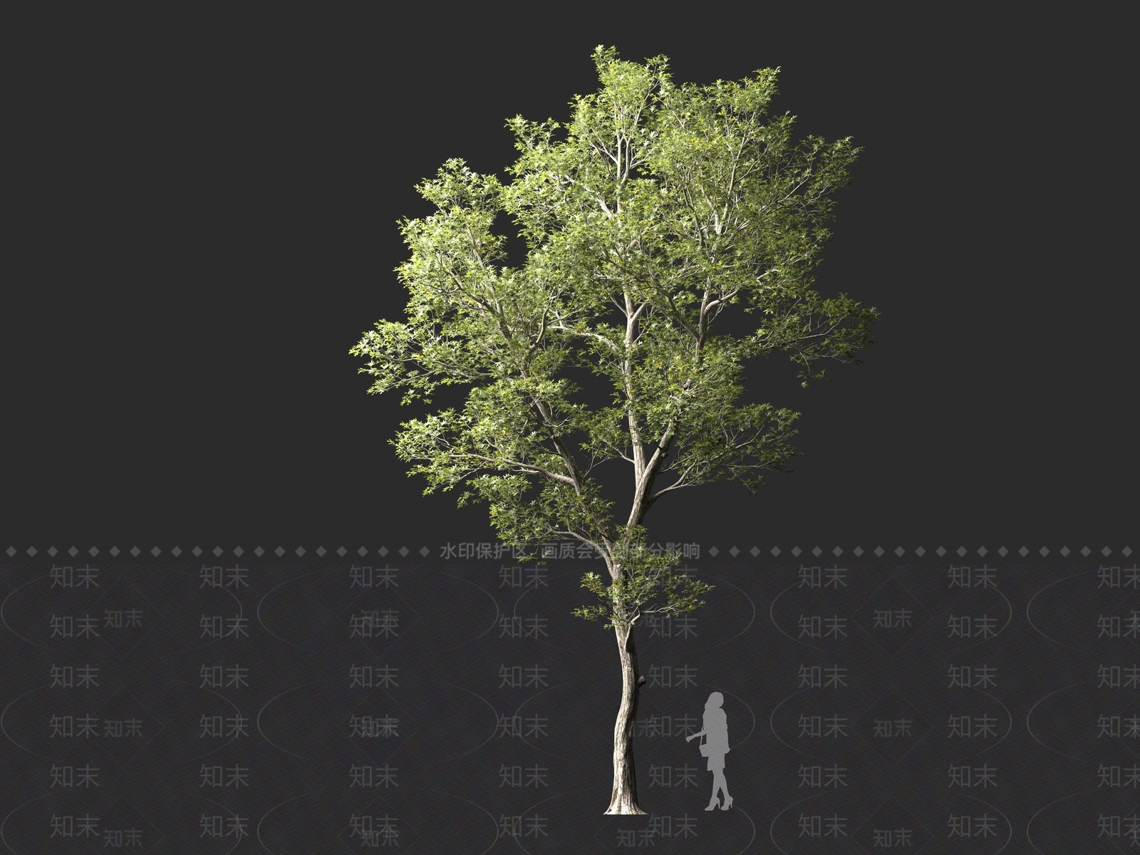 现代乔木3D模型下载【ID:1161326497】