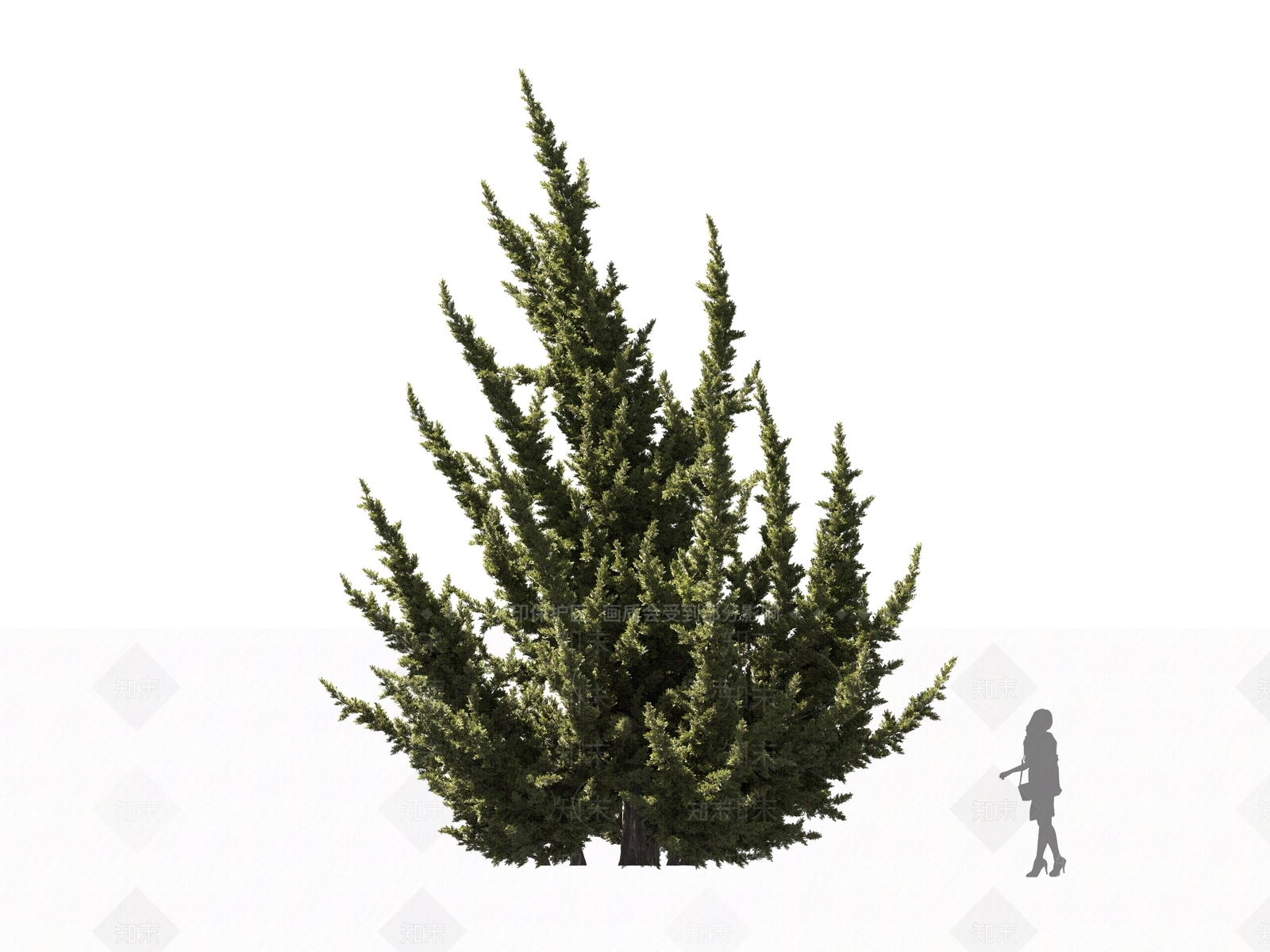 乔木3D模型下载【ID:1161327486】