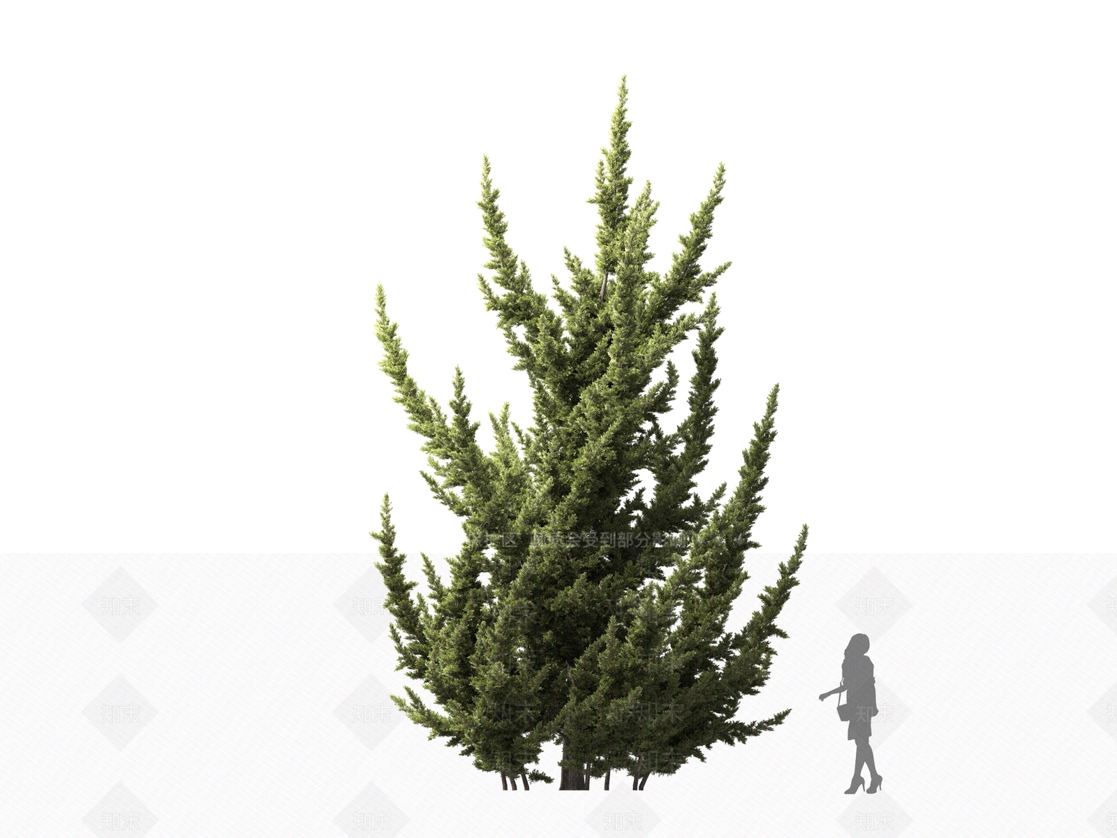 乔木3D模型下载【ID:1161327563】