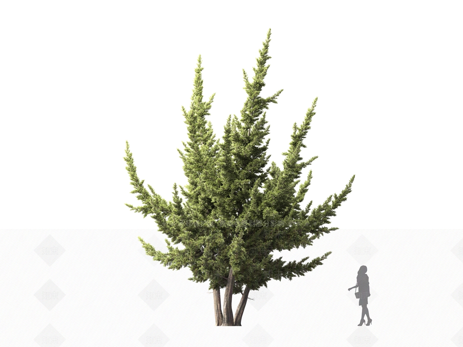 乔木3D模型下载【ID:1161327564】