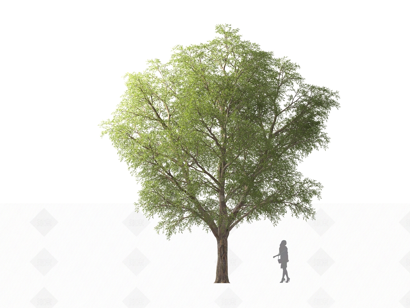现代乔木3D模型下载【ID:1161329470】