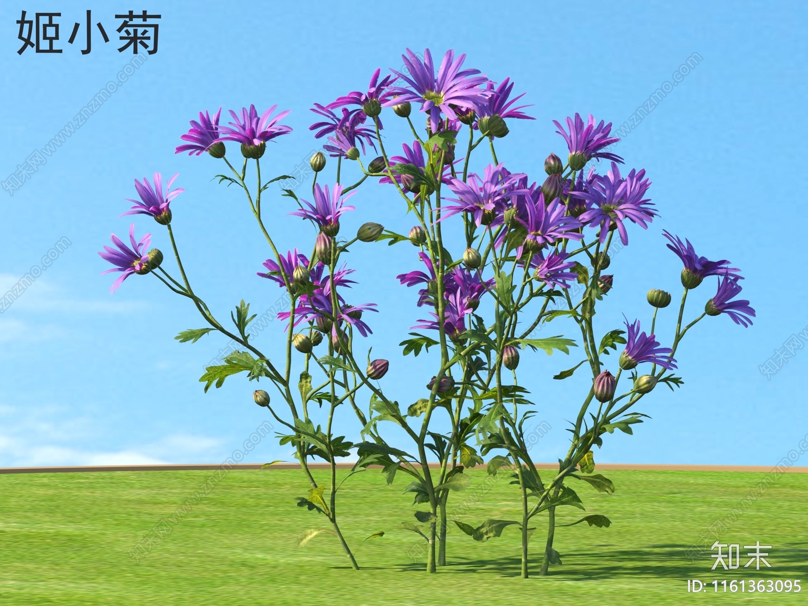 姬小菊3D模型下载【ID:1161363095】