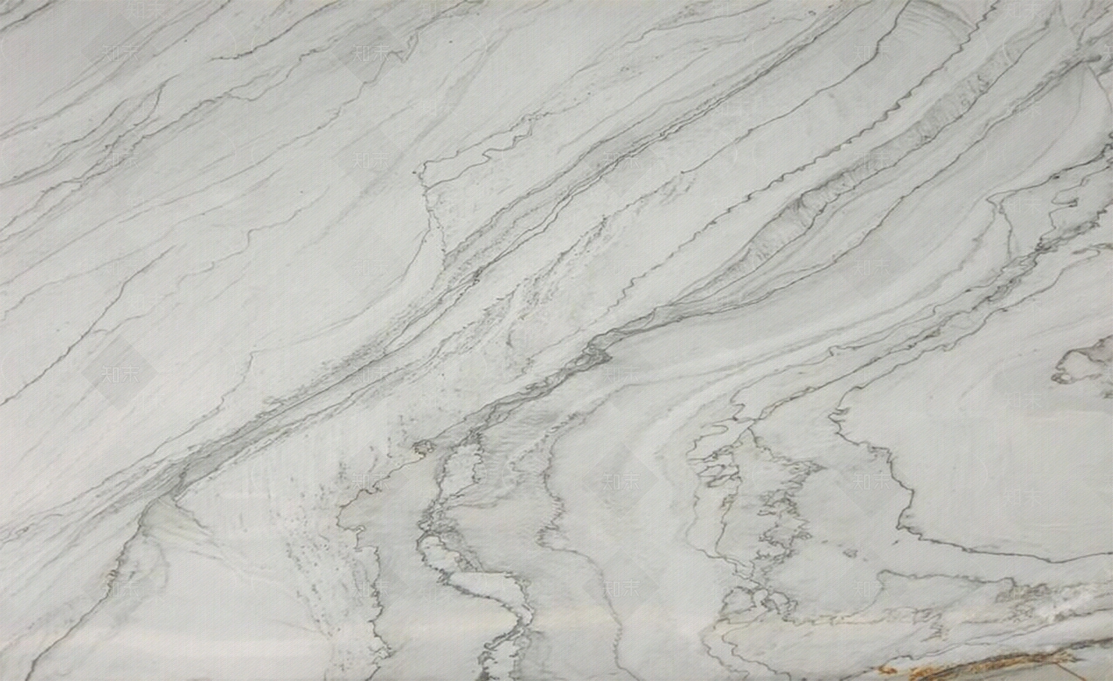 巴西鱼肚白天然大理石光面大理石贴图下载【ID:1161374925】