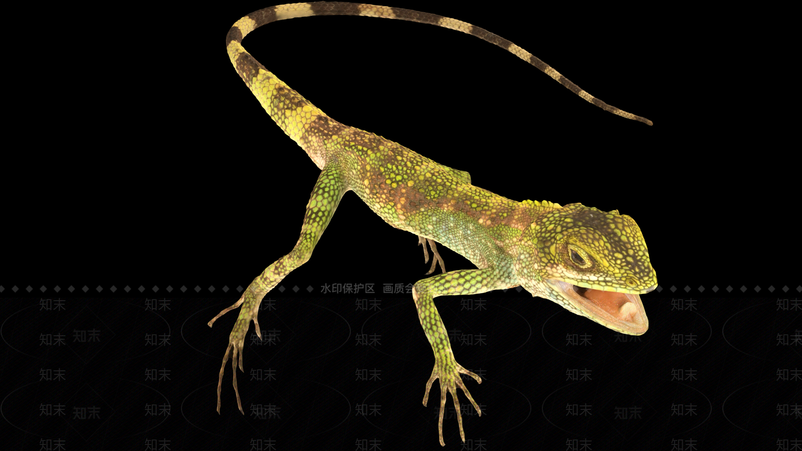 蜥蜴3D模型下载【ID:1161404375】